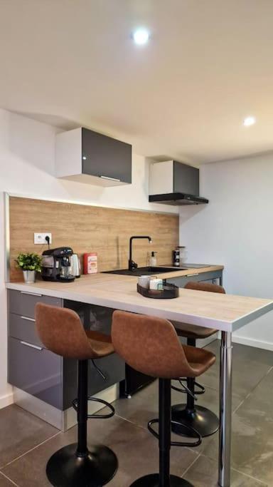 圣艾蒂安L'Atelier B Magnifique Loft Avec Terrasse Privee公寓 外观 照片